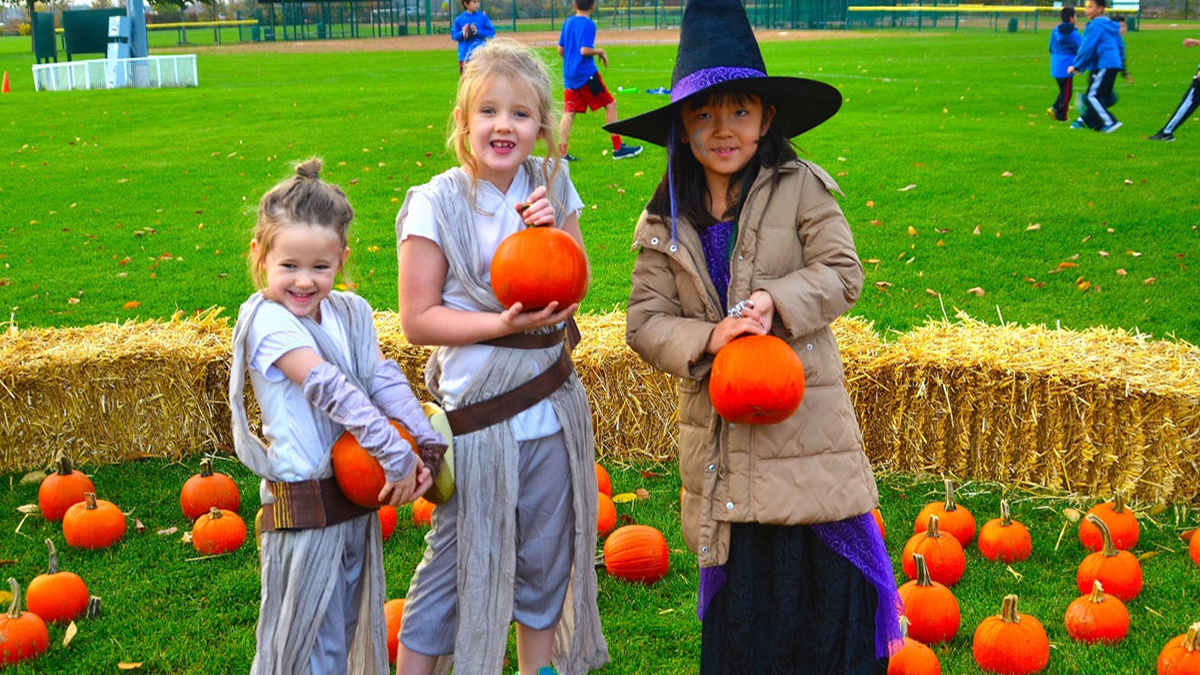 Where to Find a Pumpkin in Lake County